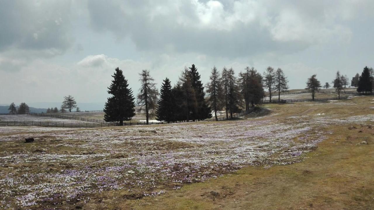 شقة Alpenrose ميلتينا المظهر الخارجي الصورة