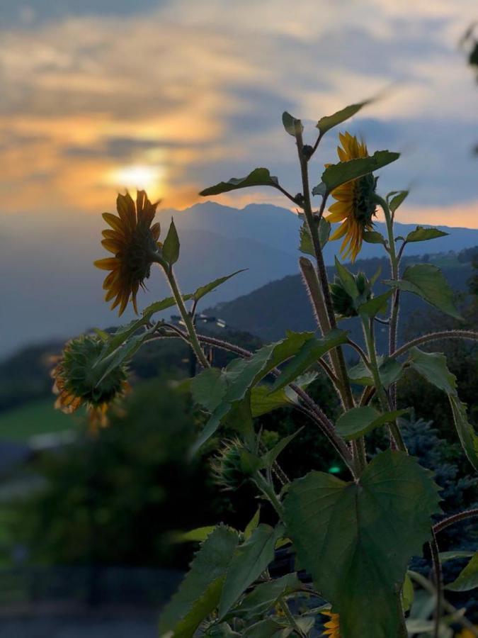شقة Alpenrose ميلتينا المظهر الخارجي الصورة
