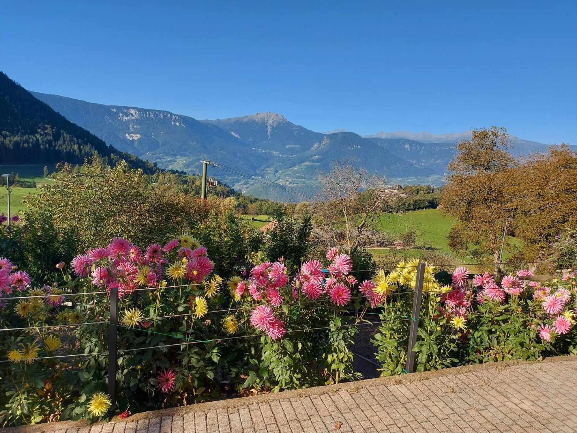 شقة Alpenrose ميلتينا المظهر الخارجي الصورة